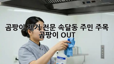 🏡 곰팡이 제거 전문, 속달동 주민 주목! 곰팡이 OUT! 💨